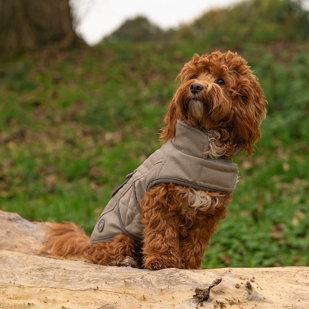 Great & Small Country Grey Canvas Coat