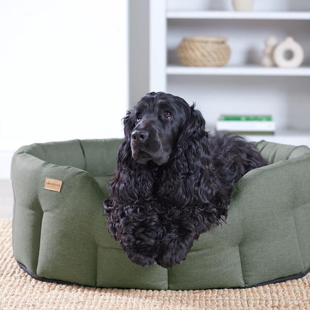 Earthbound Eden Dog Bed Laurel Green