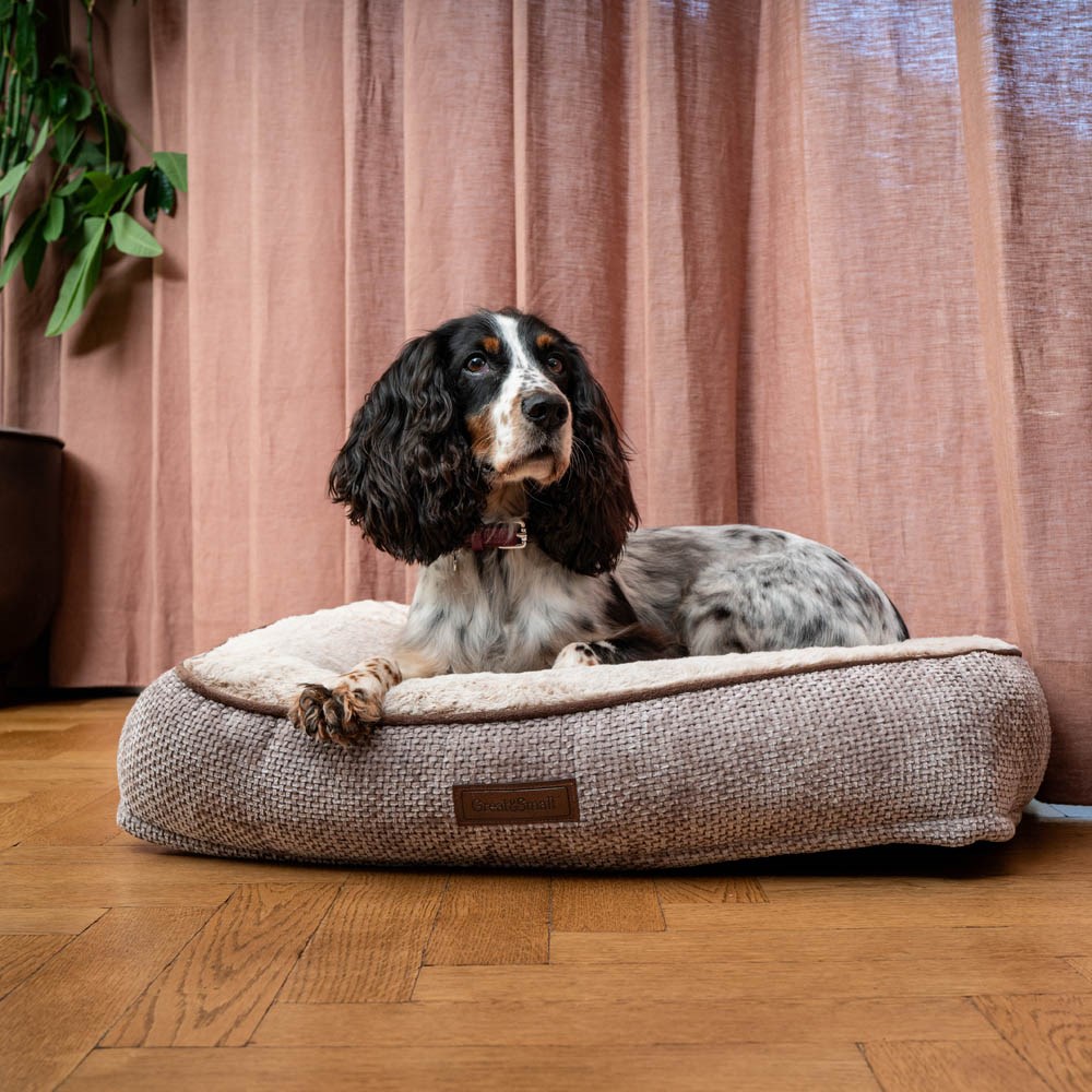Great & Small Snuggle&Snooze Soft Lounger in Latte Dog Bed