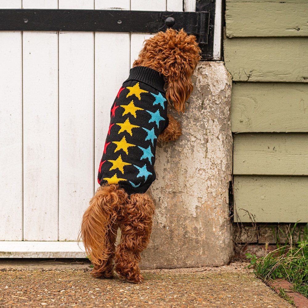Great & Small Penrose Knitted Black with Stars Dog Jumper
