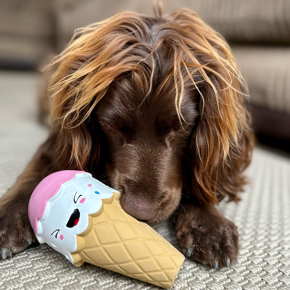 Great & Small Summer Sizzlers Latex Ice Cream Dog Toy