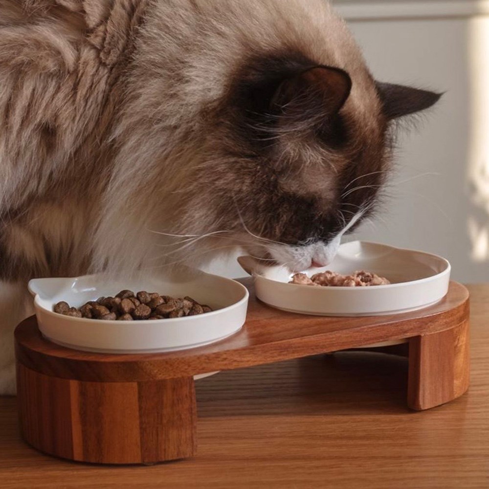 Great & Small Penrose Raised Wooden Stand & Double Cat Bowls