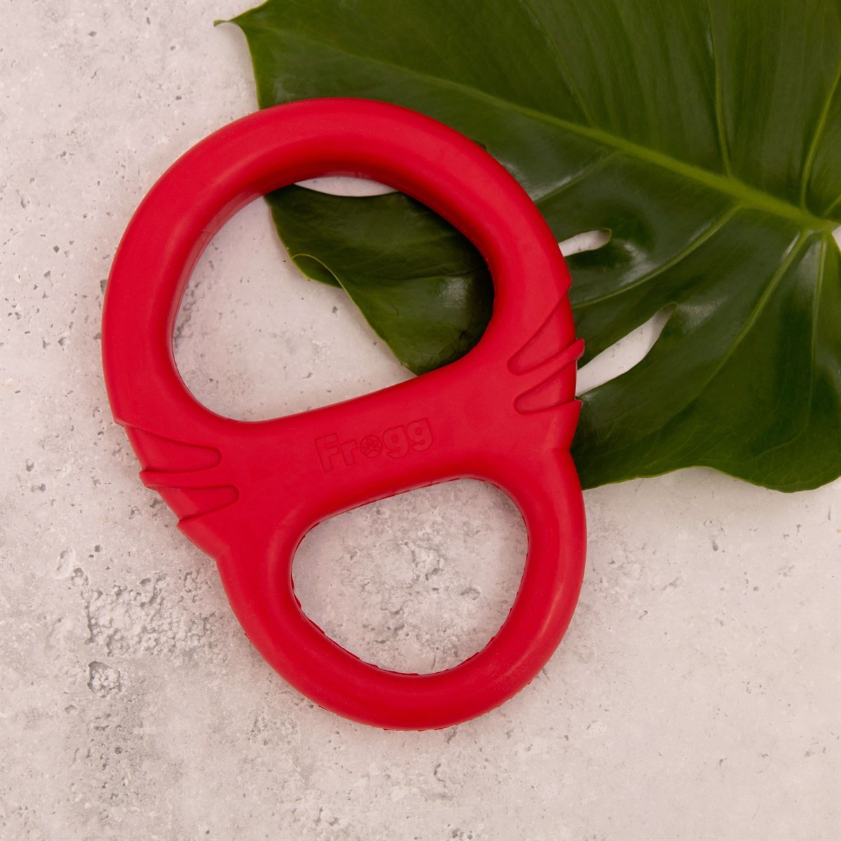 Frogg Tug of Paw Tough Dog Toy