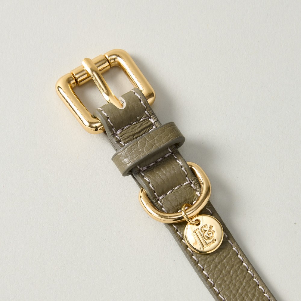 Lily & Leo Leather Flat Dog Collar Sage