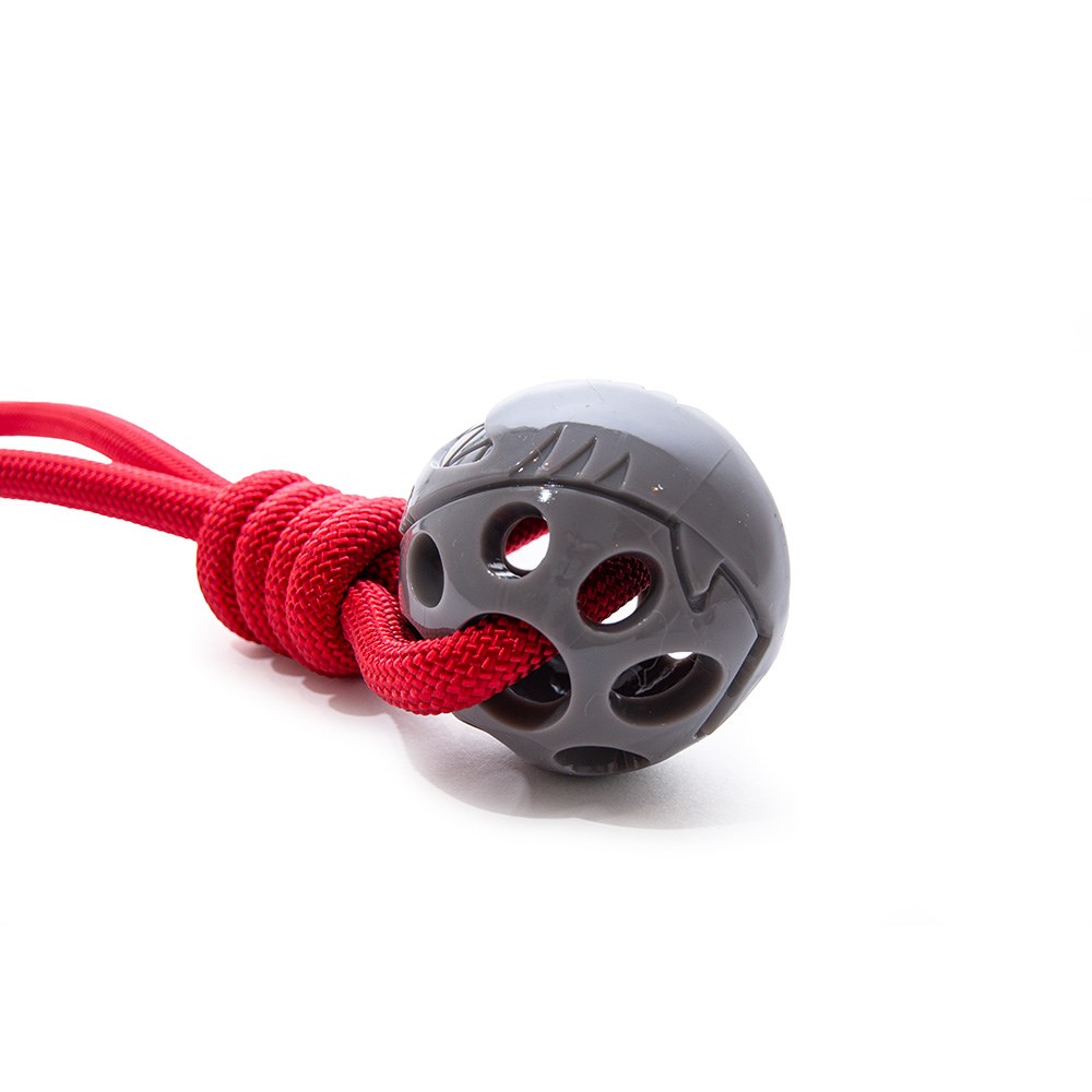 Great & Small Stay Wild Shark & Rope Dog Toy