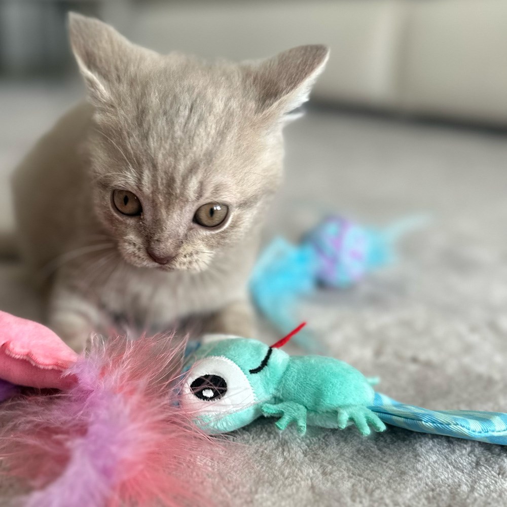 Great & Small Little&Lively Long Crinkle Tail Lizard Cat Toy