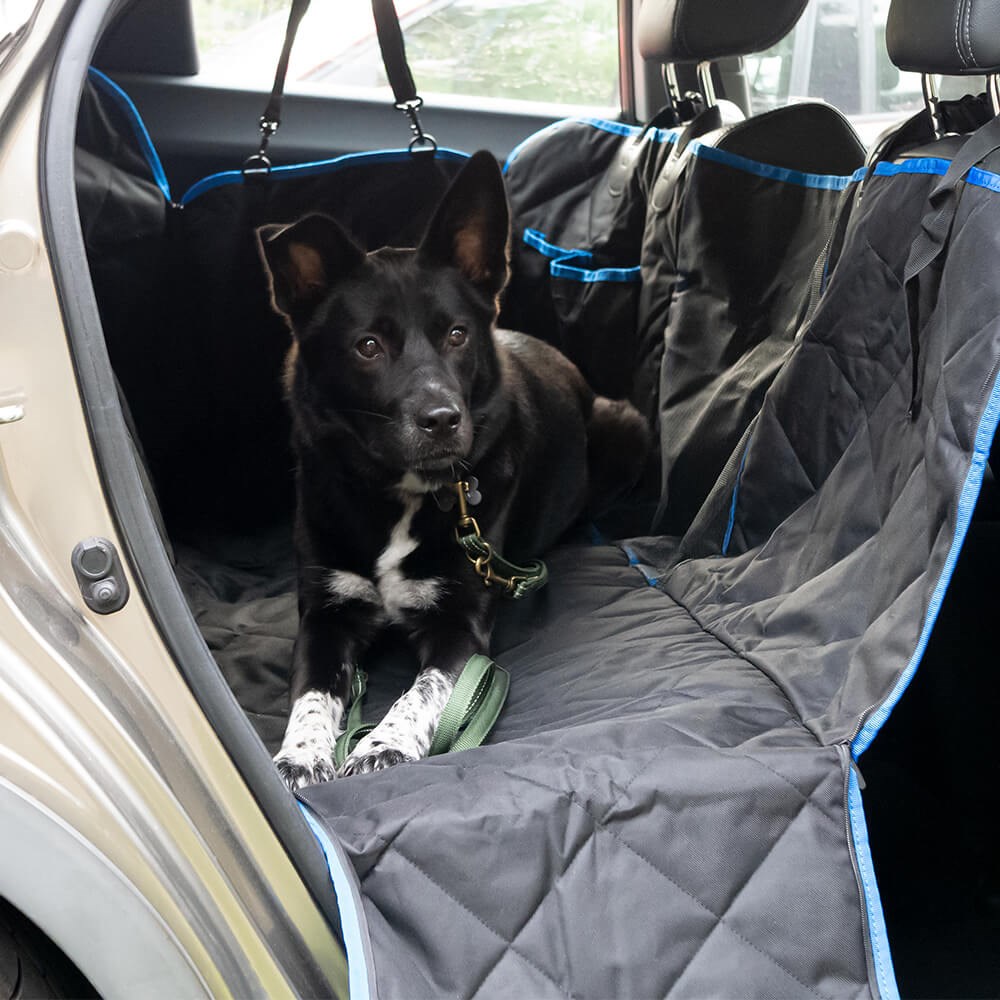 Great & Small Active Car Backseat Protector & Dog Hammock