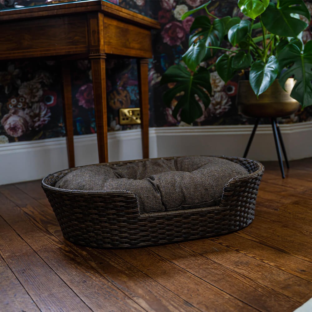 Great & Small Penrose Rattan Resin Wicker Pet Bed