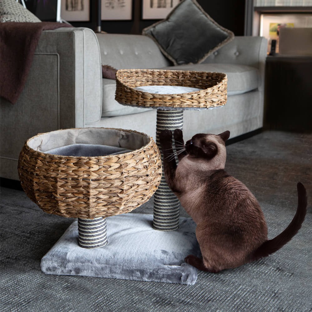 Great & Small Snuggle&Snooze Banana Leaf Cat Scratcher Bed