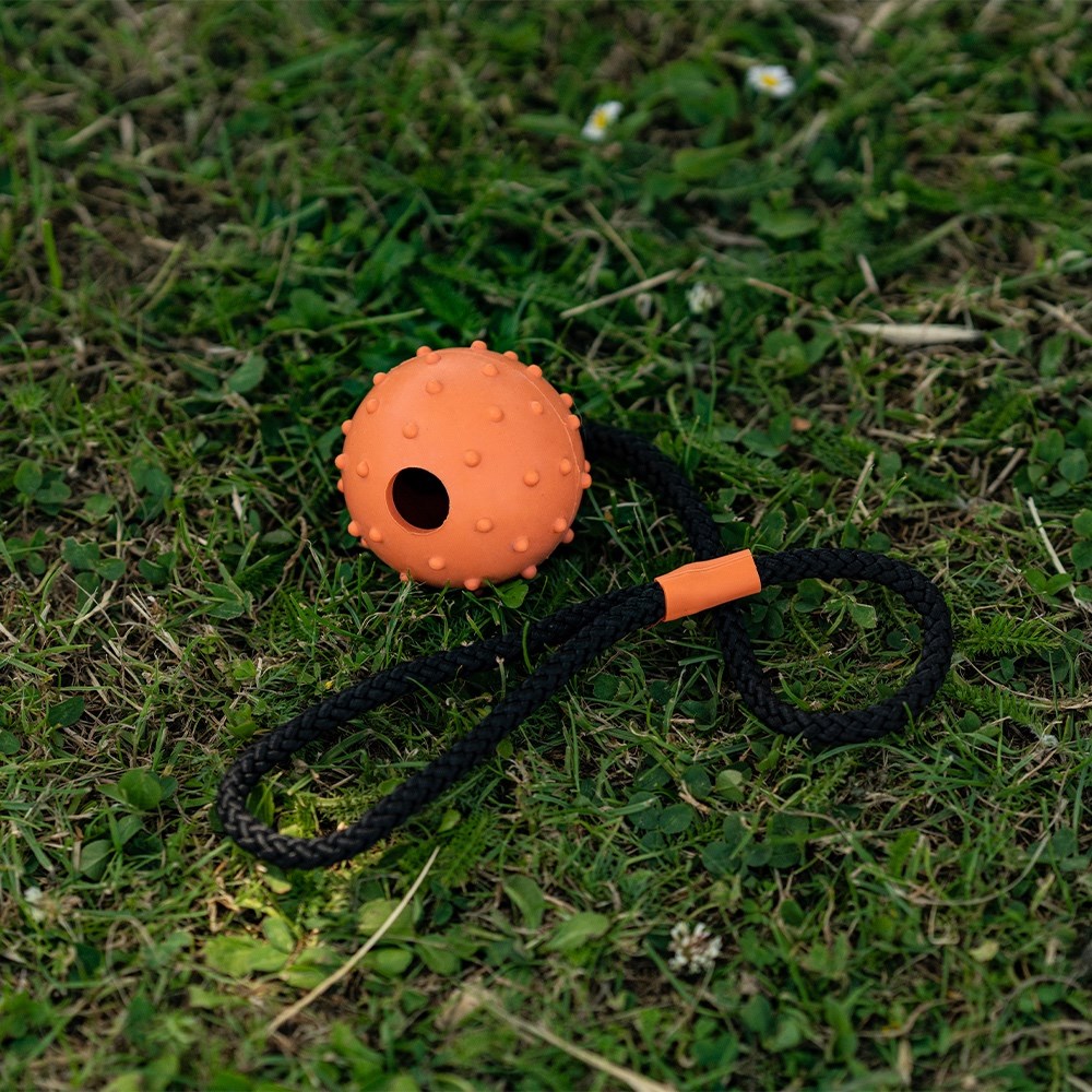 Great & Small 99% Natural Rubber Ball with Rope Dog Toy