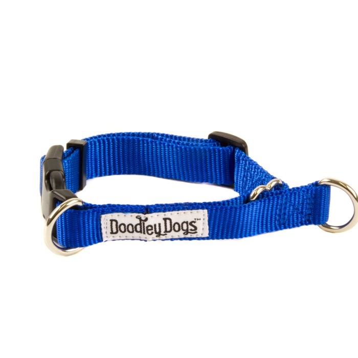 Doodley Dogs Blue Plain Nylon Dog Collar