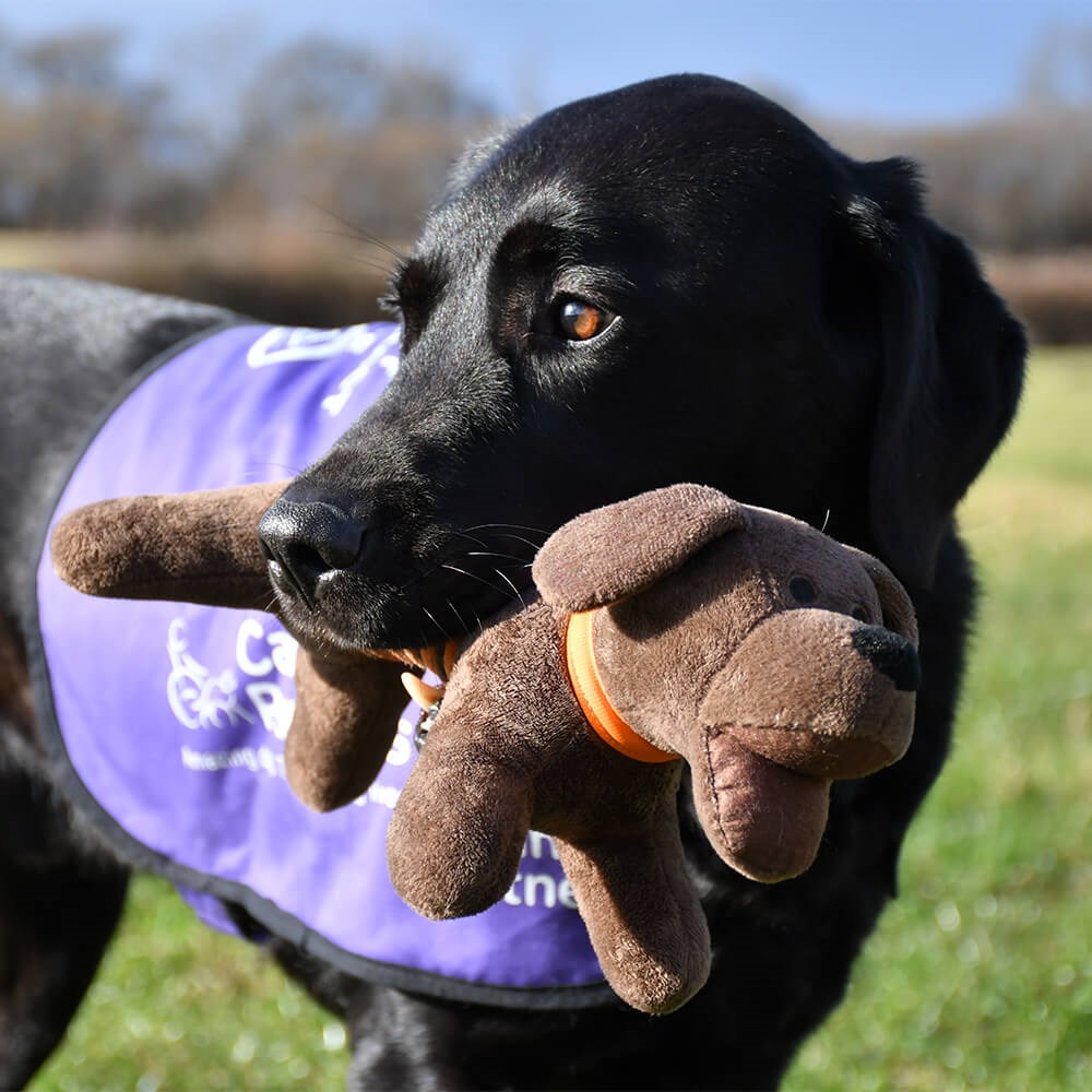 Pets Corner Leaping Petey Charity Dog Toy