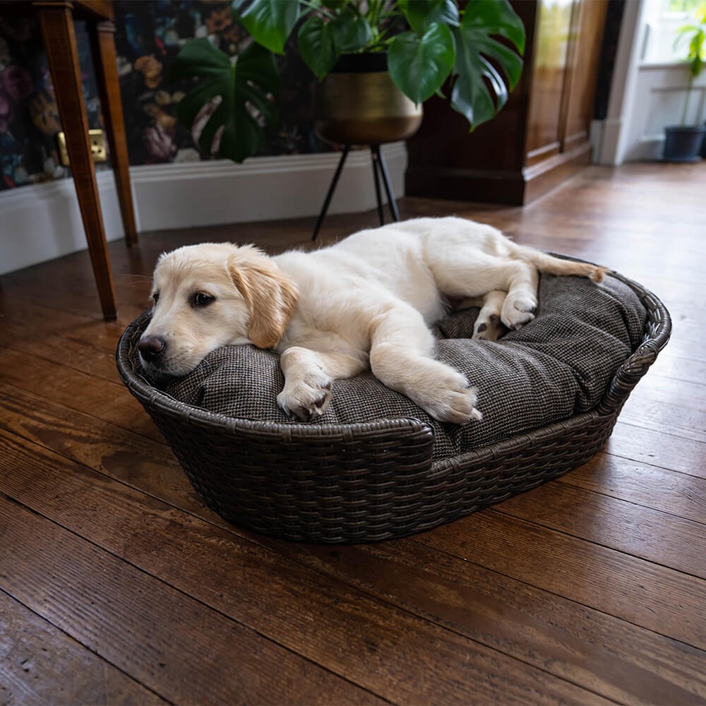 Great & Small Penrose Rattan Resin Wicker Pet Bed