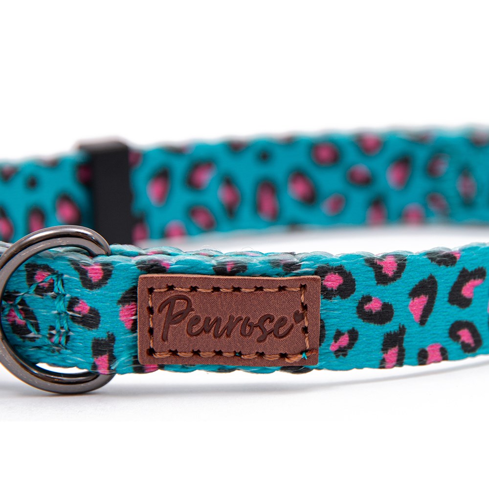 Great & Small Penrose Leopard Pink Spot Dog Collar