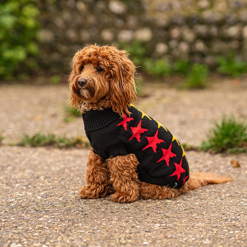 Great & Small Penrose Knitted Black with Stars Dog Jumper