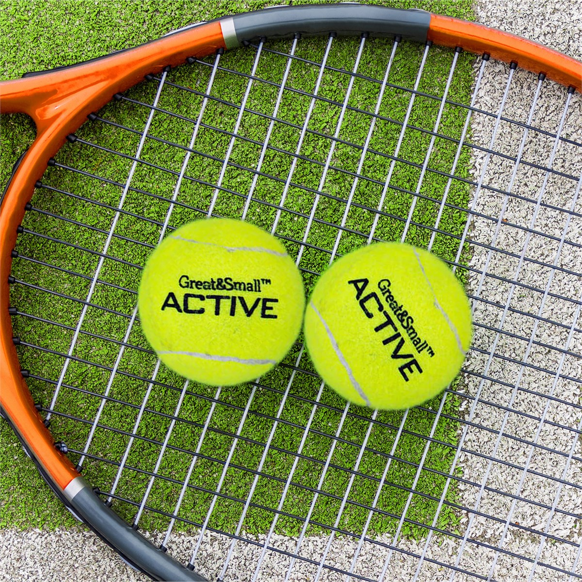 Great & Small Active Tennis Ball Dog Toy