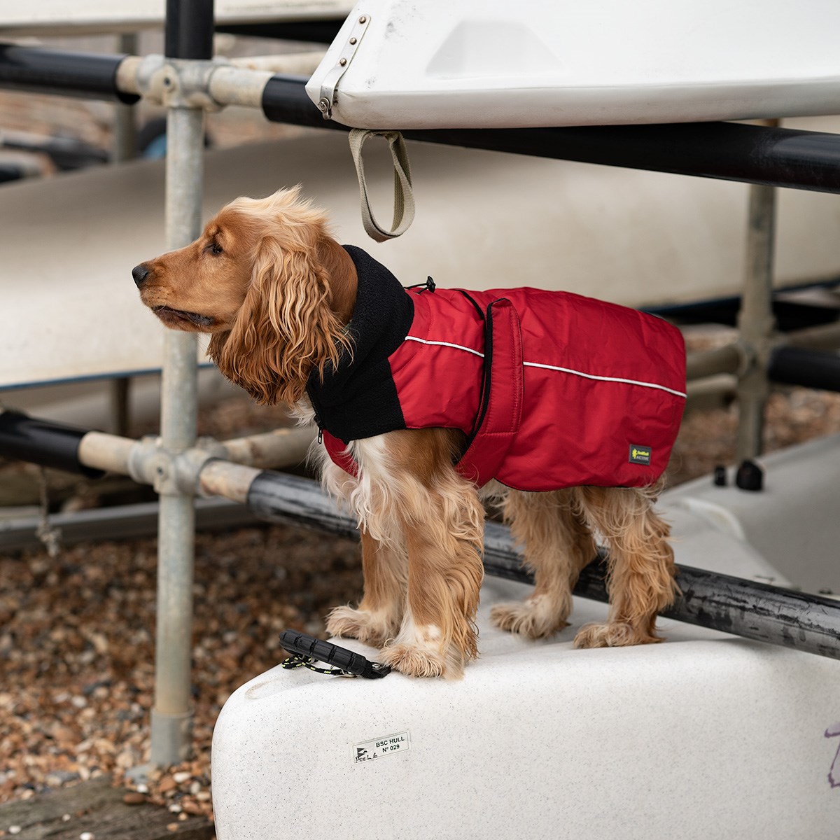 Great & Small Sports Dog Coat Red