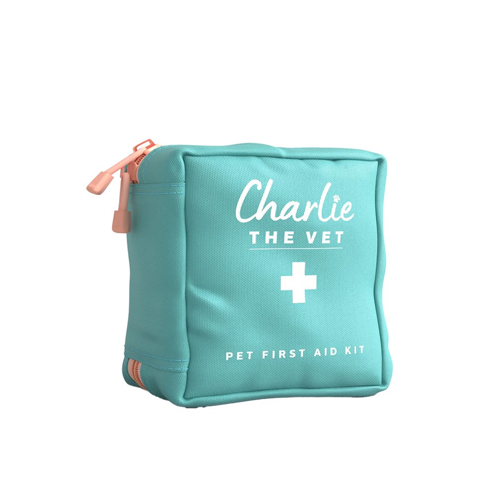 Charlie The Vet Mini Pet First Aid Kit