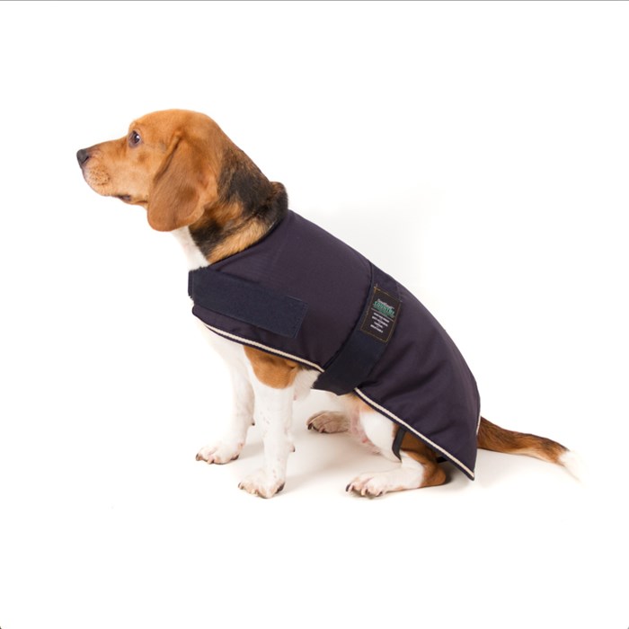 Great & Small Country Padded Blue Dog Coat