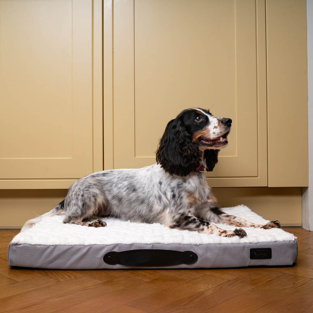 Great & Small Penrose Memory Foam Mattress