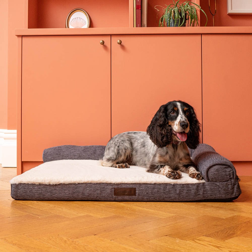 Great & Small Snuggle&Snooze Memory Foam Support Dog Bed