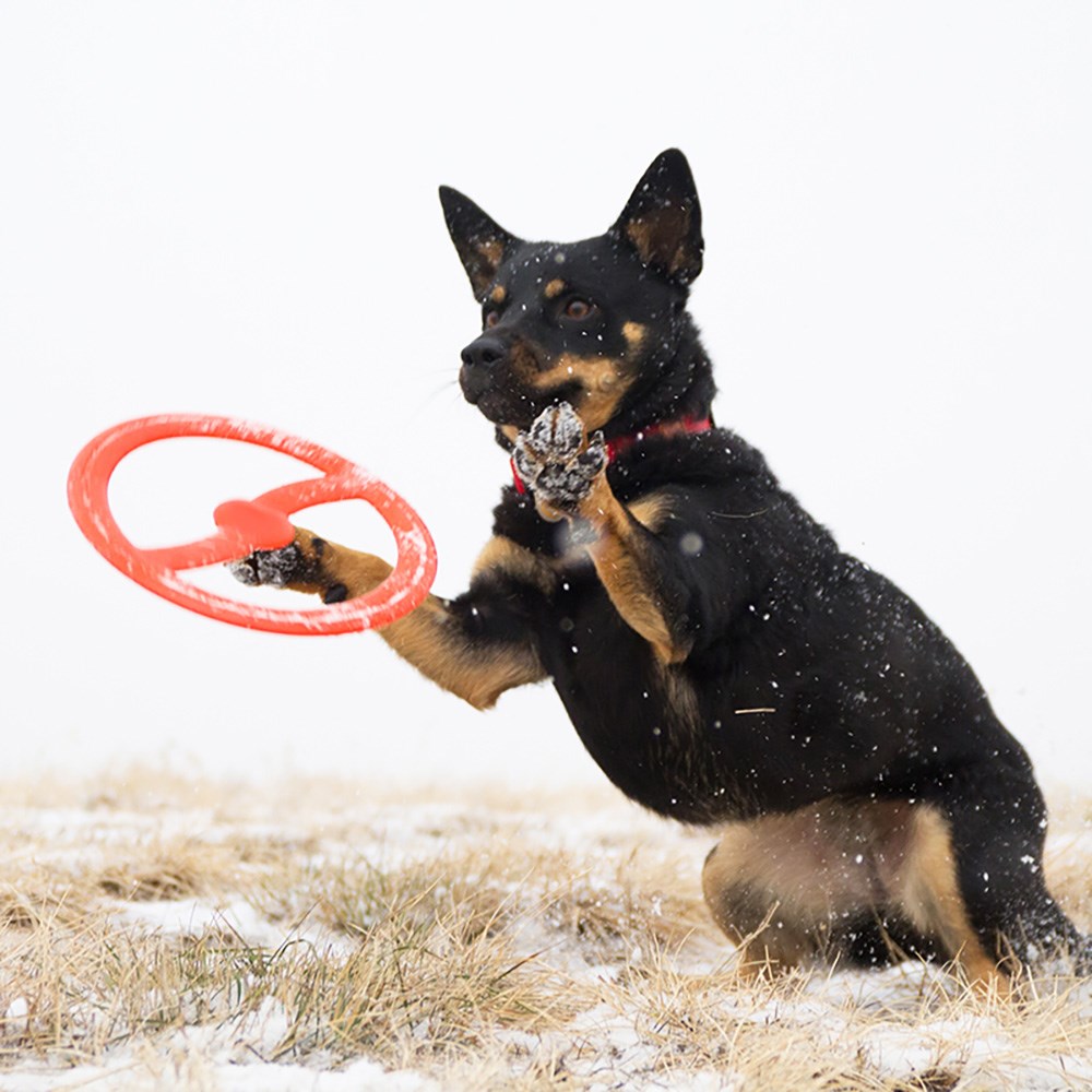 BIONIC Toss-N-Tug Ring Dog Toy