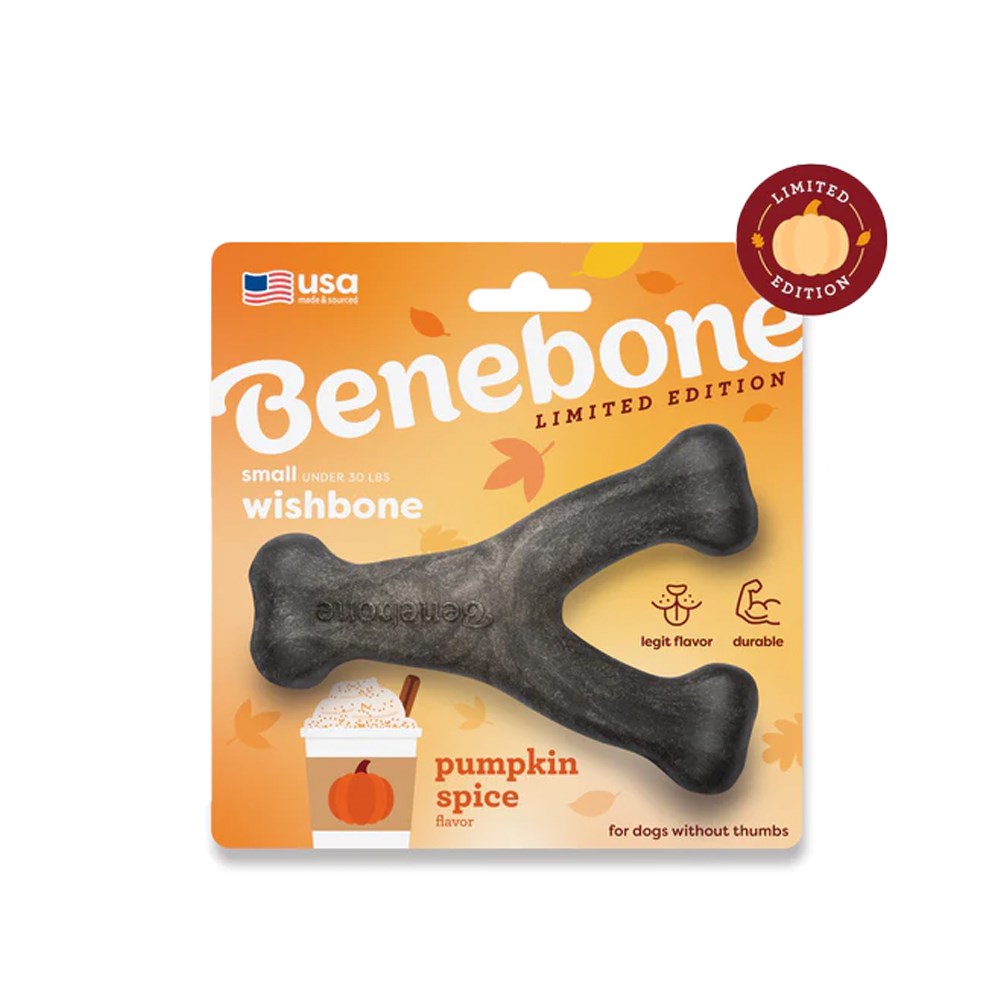 Benebone Pumpkin Spice Wishbone Dog Chew