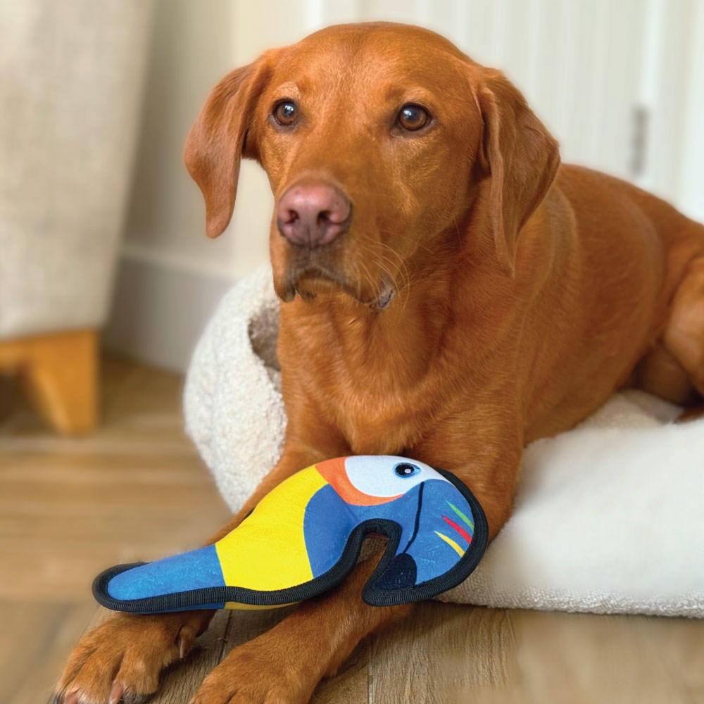 Great & Small Fortress Toucan Extra Large Dog Toy