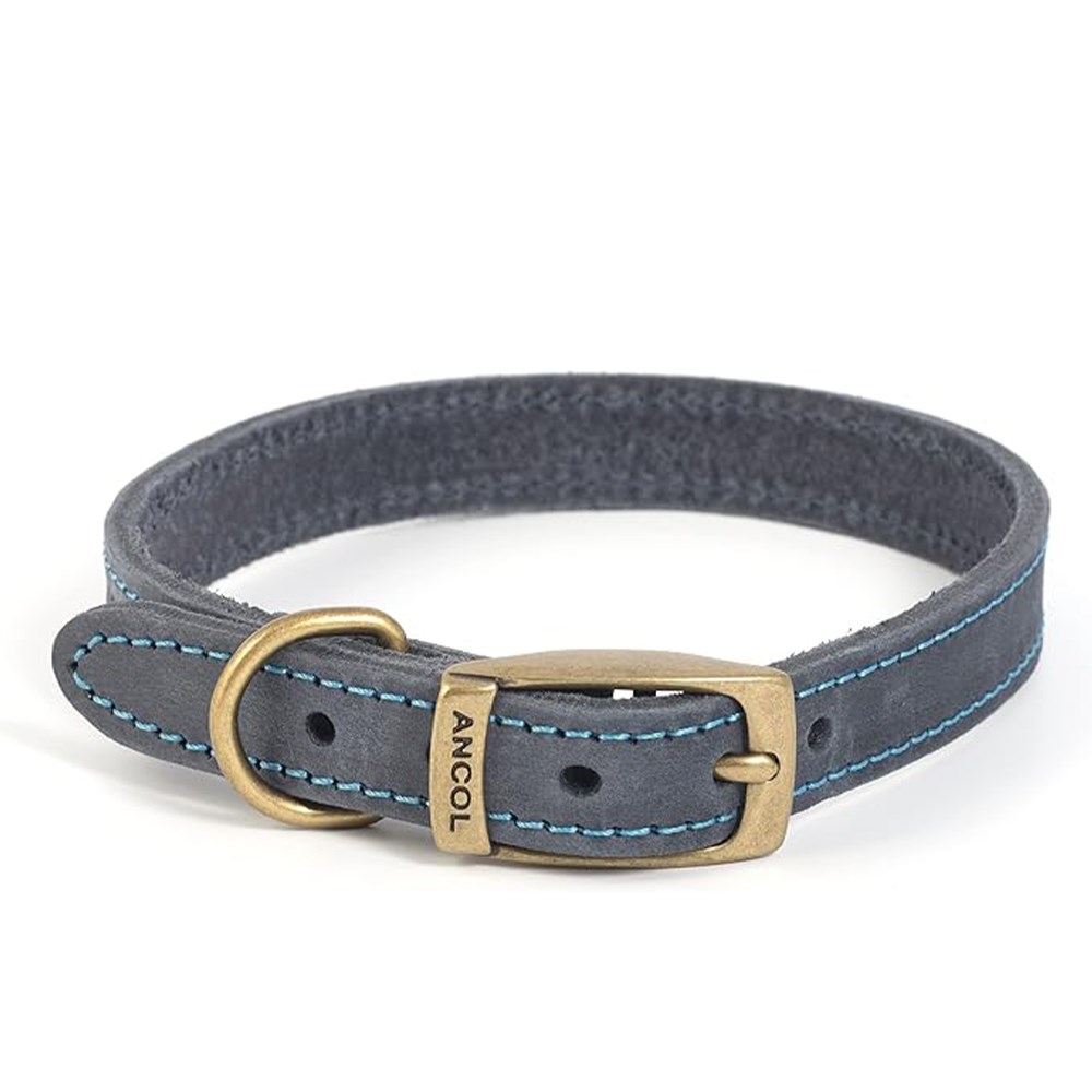 Timberwolf Leather Dog Collar Blue