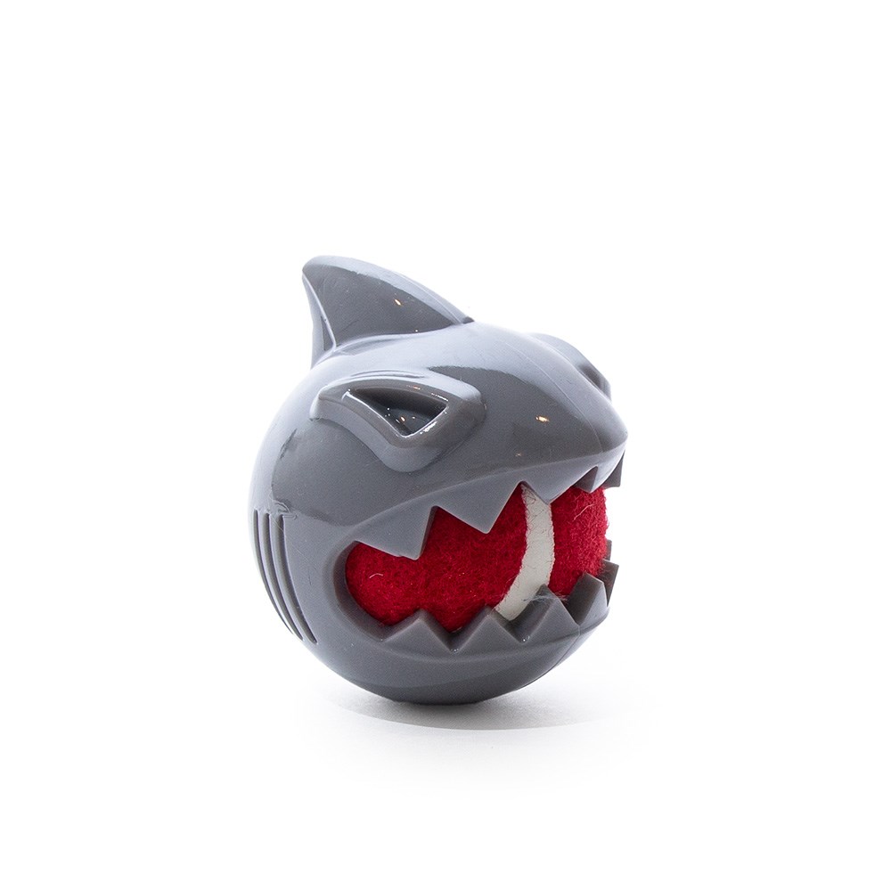 Great & Small Stay Wild Shark with Tennis Ball Dog Toy