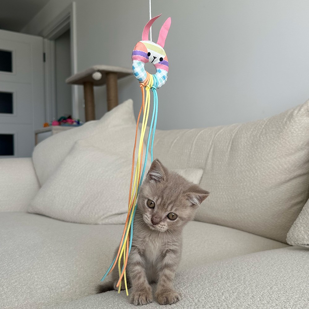 Great & Small Little&Lively Easy Play Weighted Dangler with Bunny Hoop & Tassles Cat Toy