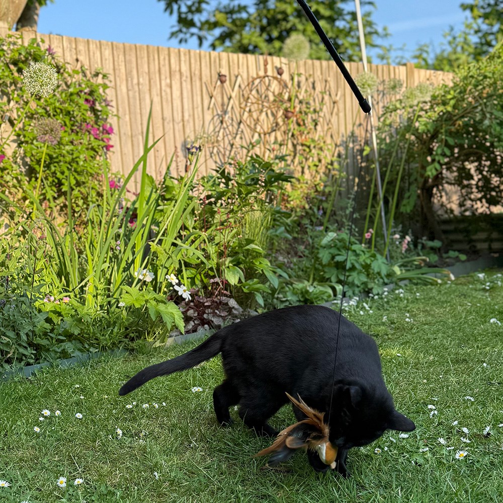 Great & Small Cat Dangler Mouse Feather Cat Toy