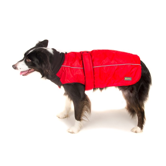 Great & Small Sports Dog Coat Red