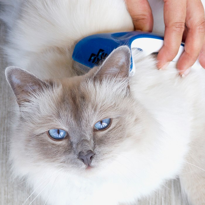 Great & Small FurFixer Deshedding Brush for Long Hair