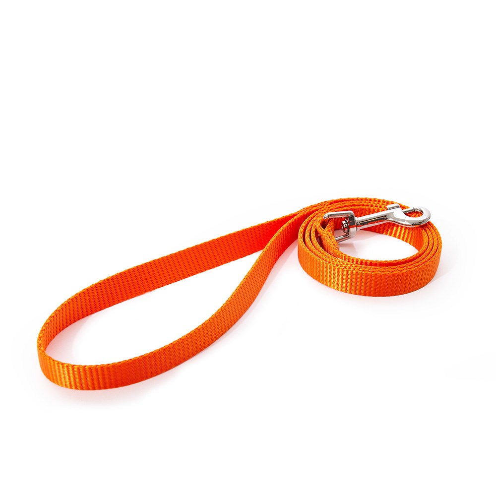 Great & Small Little&Lively Lead Orange