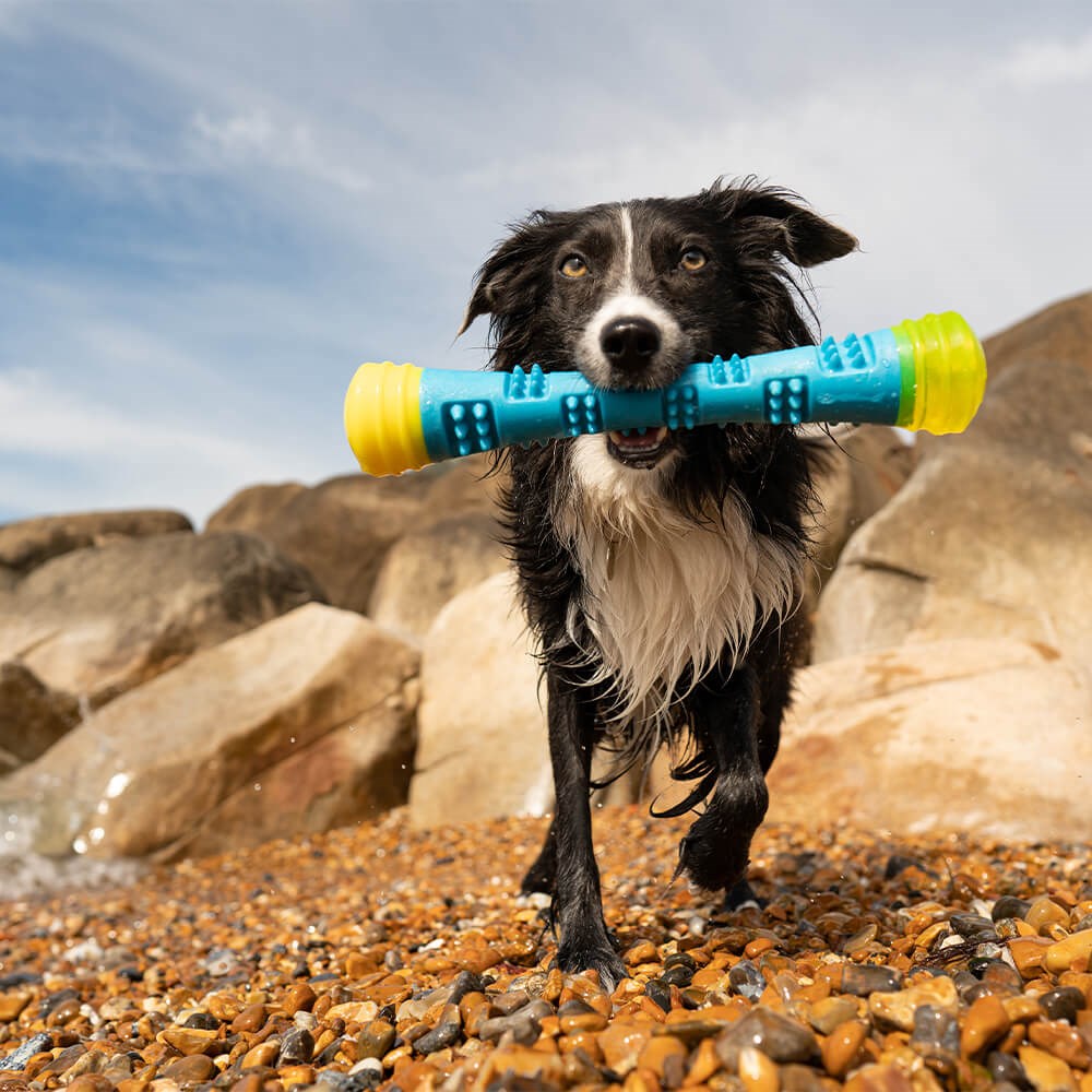 Great & Small Frubba Flash Stick Dog Toy