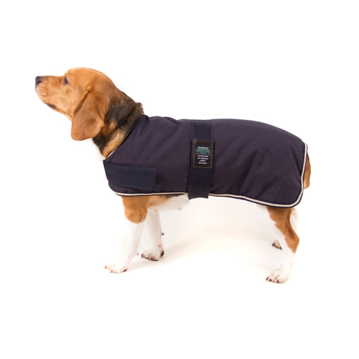 Great & Small Country Padded Blue Dog Coat