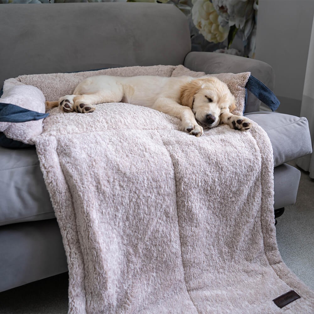 Great & Small Snuggle&Snooze Soft Sofa Dog Bed