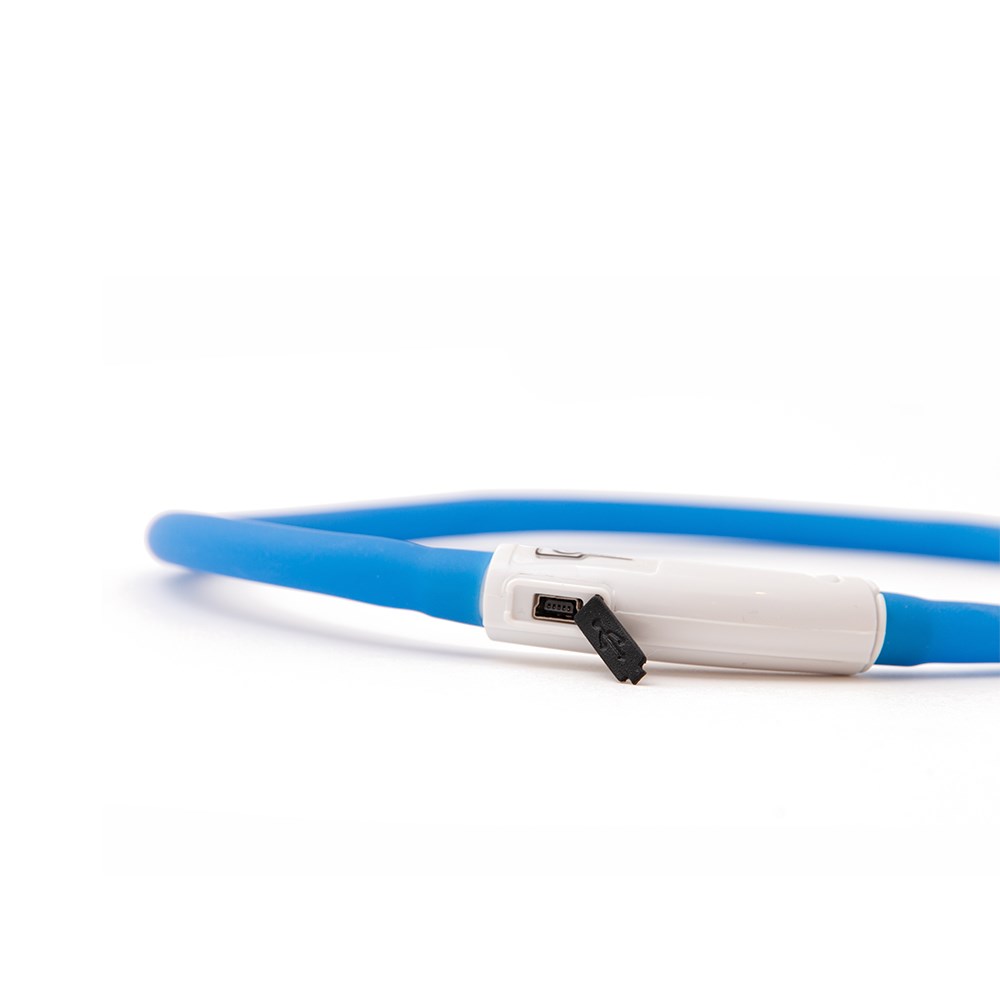 Great & Small Glow LED Rechargeable Dog Collar Blue