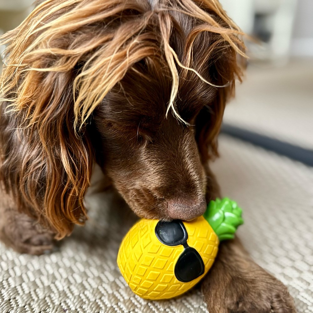 Great & Small Summer Sizzlers Latex Cool Pineapple Dog Toy