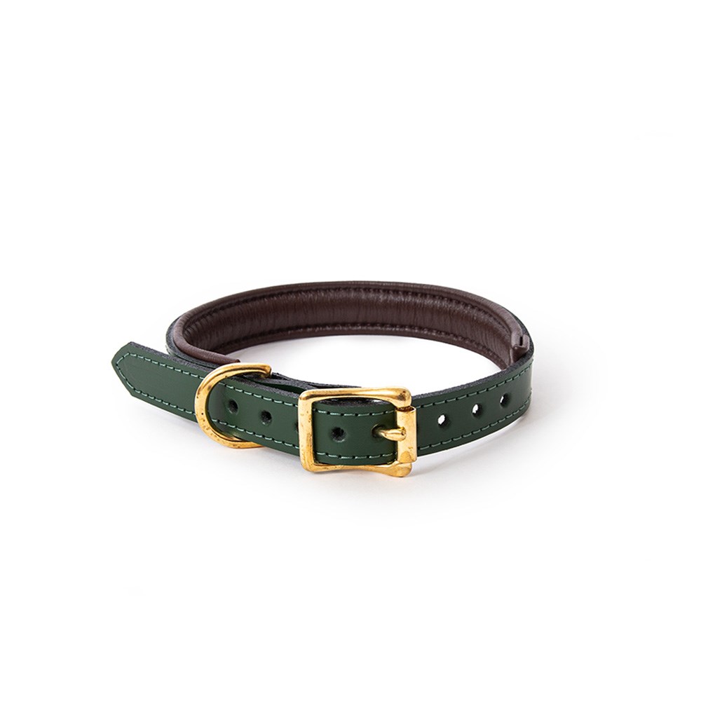 Great & Small Hawkhurst Forest Green Leather Collar