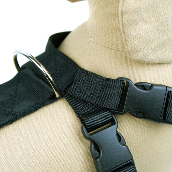 Great & Small Dog Car Harness