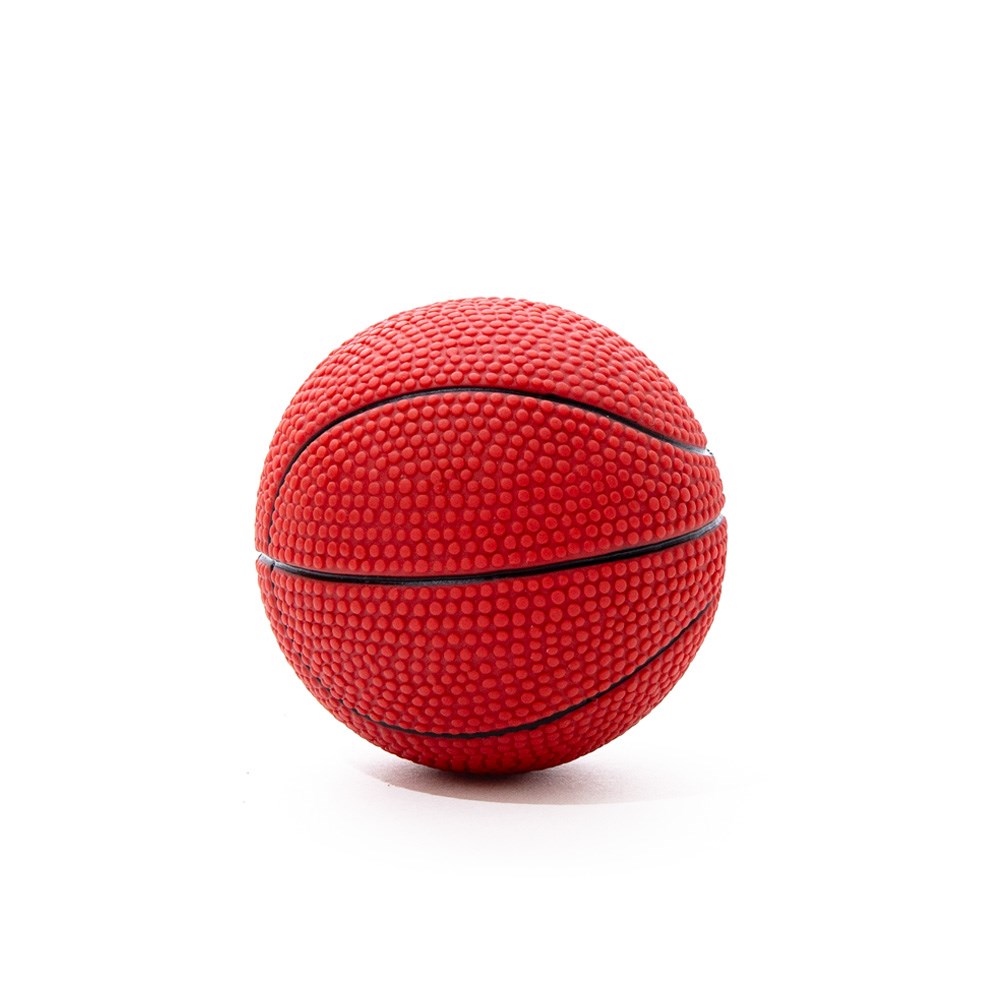 Great&Small Go Team! Vinyl Basketball Dog Toy