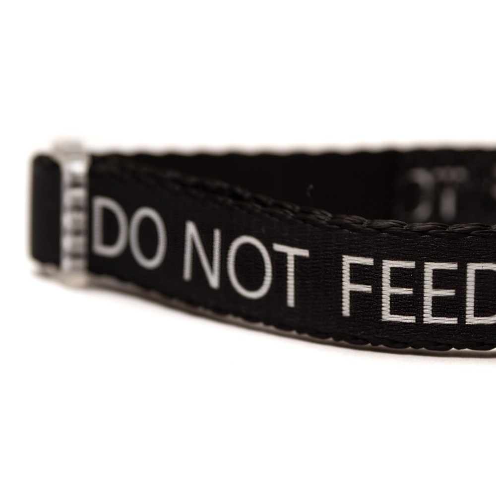 Great & Small Classic Do Not Feed Dog Collar Black