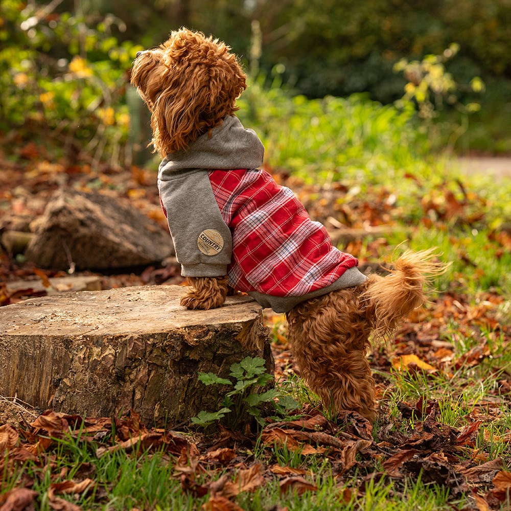 Great & Small Country Adventure Red Check Dog Hoodie
