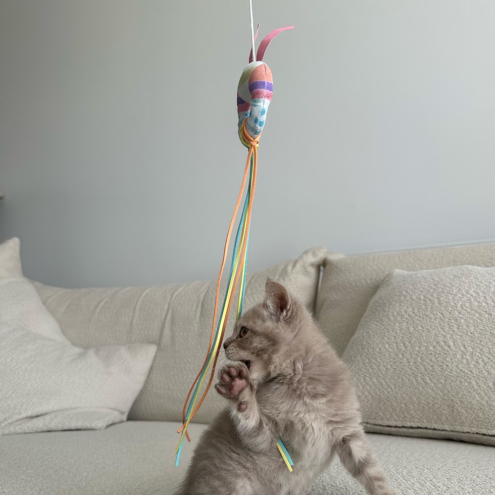 Great & Small Little&Lively Easy Play Weighted Dangler with Bunny Hoop & Tassles Cat Toy