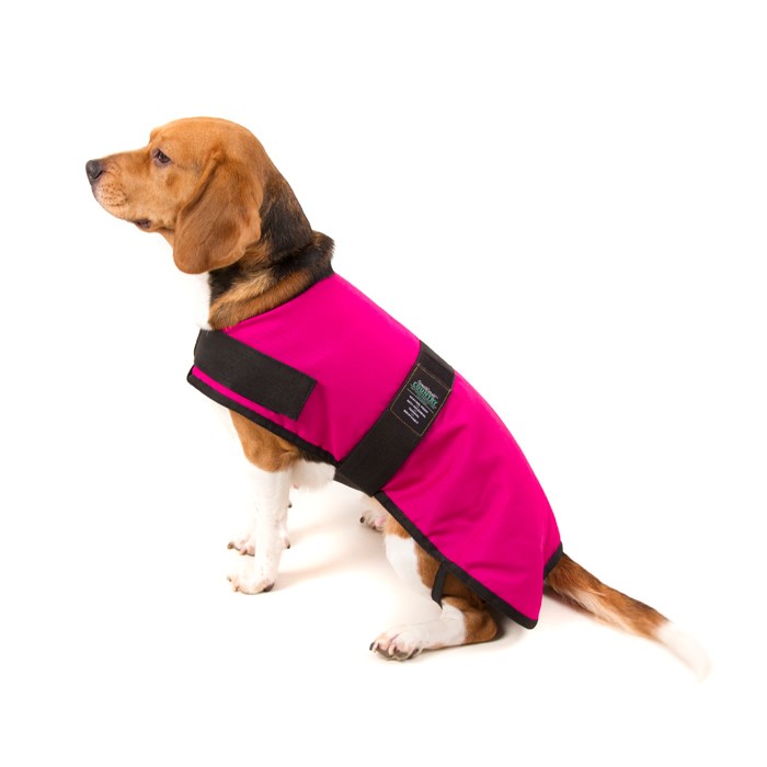 Great & Small Country Padded Raspberry Dog Coat