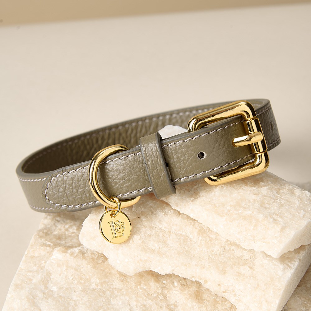 Lily & Leo Leather Flat Dog Collar Sage