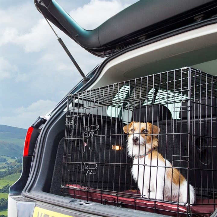 Great & Small Wire Pet Den Dog Crate