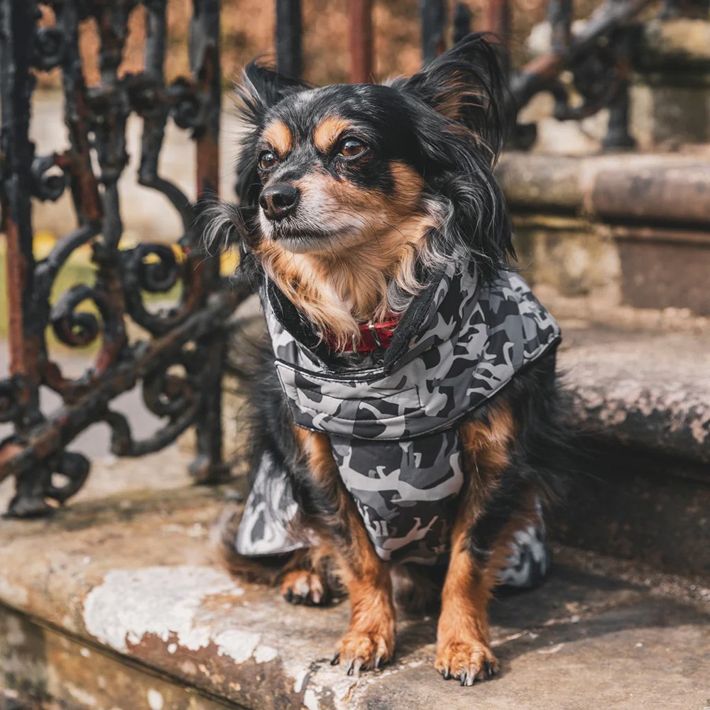 Trespaws Charly Grey Dog Camo Dog Coat